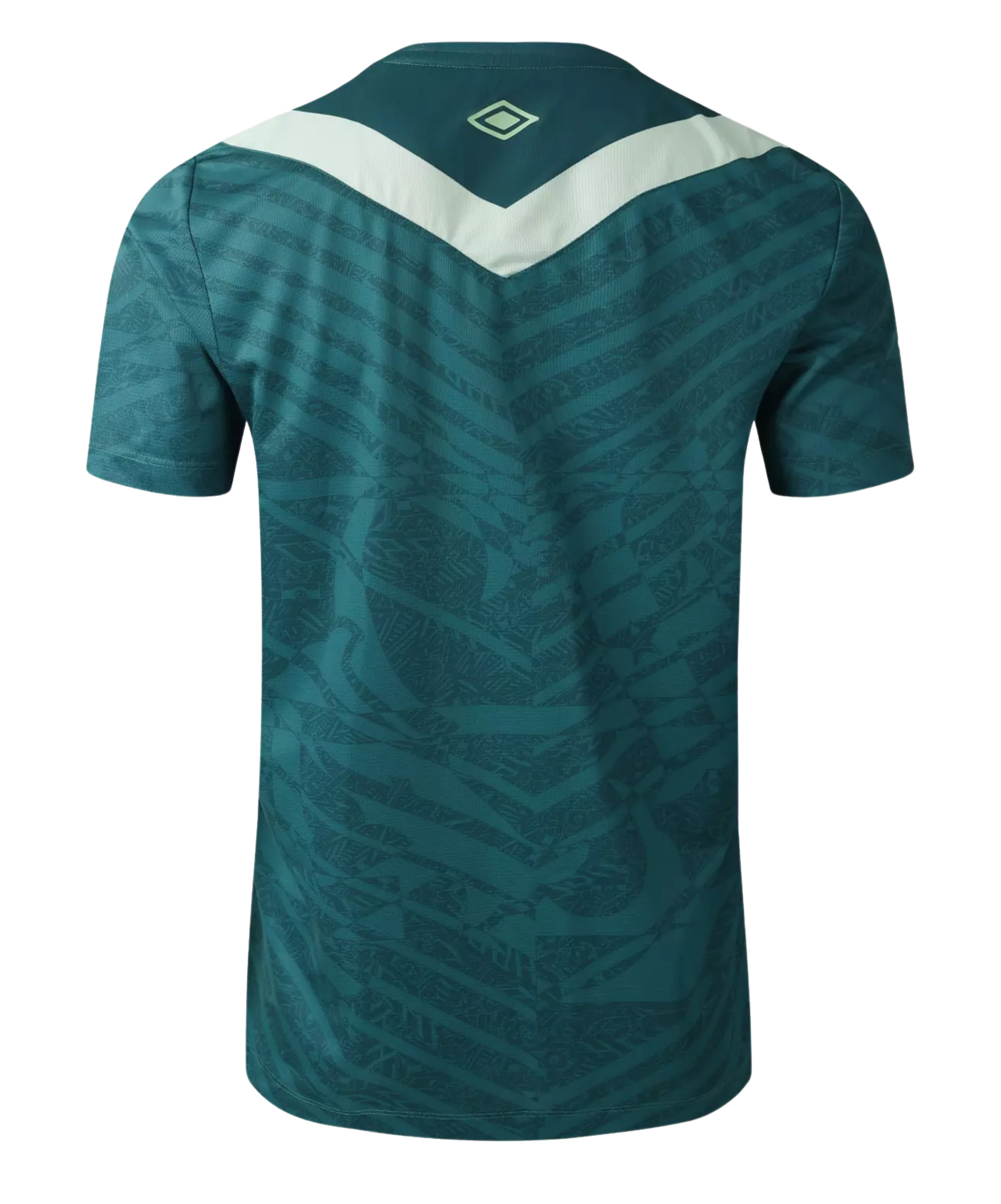 Chapecoense shirt