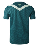 Chapecoense shirt