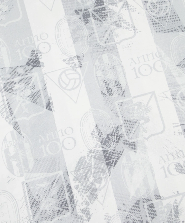 Ternana Calcio Shirt 2026